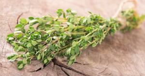 Thymus vulgaris. Health Benefits of Thyme Thymus Vulgaris Health Benefits of Thyme