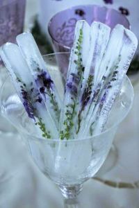 Lavender ice cubes in glass
