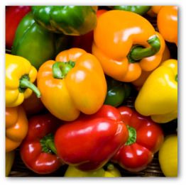 Capsicum or Bell peppers