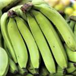Raw Green Bananas