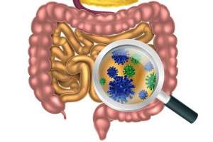 Better Gut Better Health Better Gut Better Health
