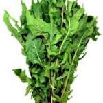 Raw Dandelion Greens