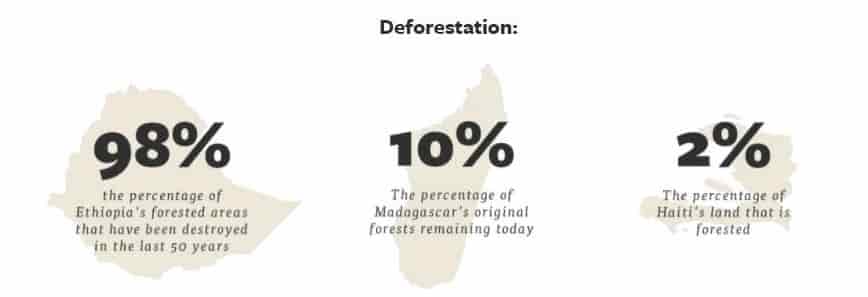 Deforestation percentage via The Eden Reforestation Project