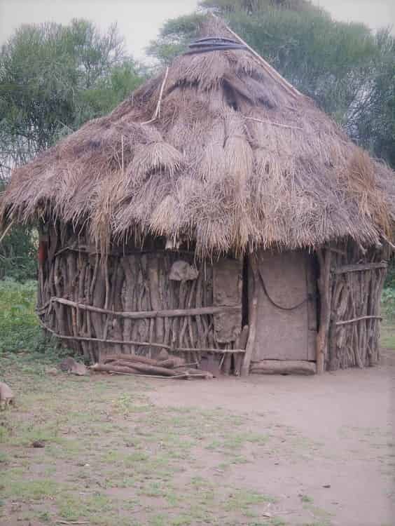 Ethiopian Huts made from woodmin Life Management For You