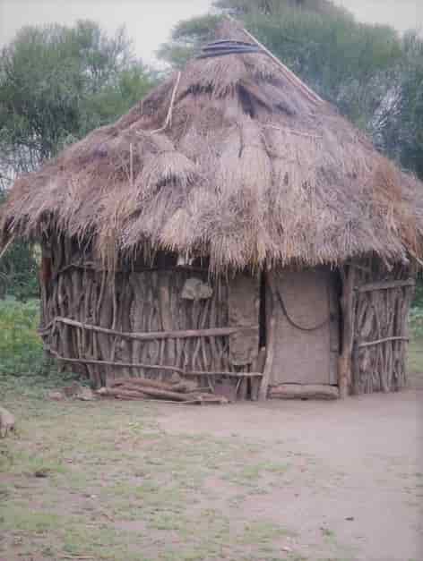 Huts made from Woods from the Forest