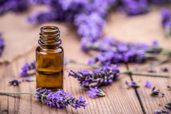 Lavender Essential Oil Benefits