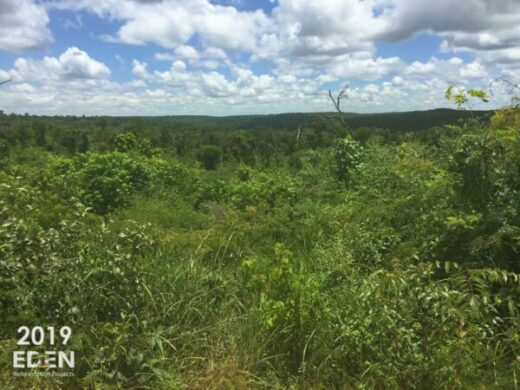 Updated Results of The Eden Reforestation Project 2019 Updated Results of The Eden Reforestation Project 2019