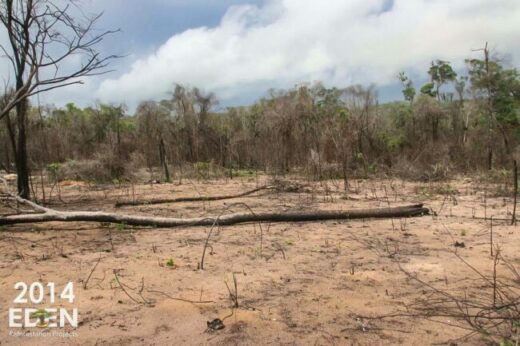 Results of Deforestation in 2014 Results of Deforestation in 2014
