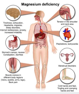 Magnesium Deficiency in women