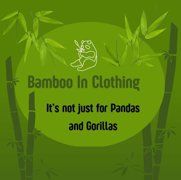 Image of Panda eating Bamboo with Bamboo shoots and leaves with Green background