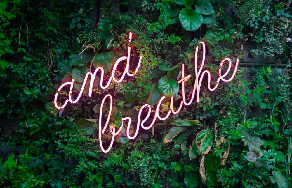 White words saying ang breathe to help calm the mind amounts luches green leaved in background