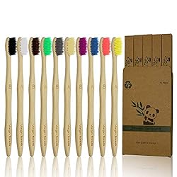 Virgin Forest 10 Pcs Soft Bristles Bamboo Toothbrush, Biodegradable 