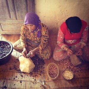 Berber Women Cracking Argan Nuts in Making Argan Oil