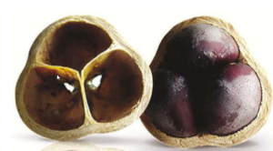 Nuts from Cacay Fruit