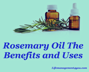 Rosemary OIl The Benefits and Uses