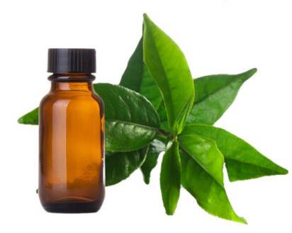 Tea Tree Essential Oil